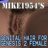 Genital Hair for Genesis 2 Female