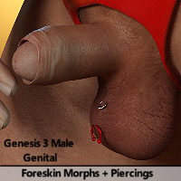 Foreskin and Piercings for Genesis 3 Male Genital