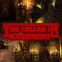 The Cellar In Basement