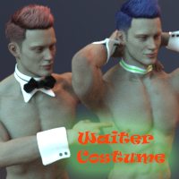 Waiter Costume