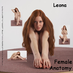 3Dsk´s Leona sitting poses