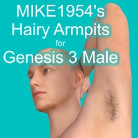 Hairy Armpits For Genesis 3 Male