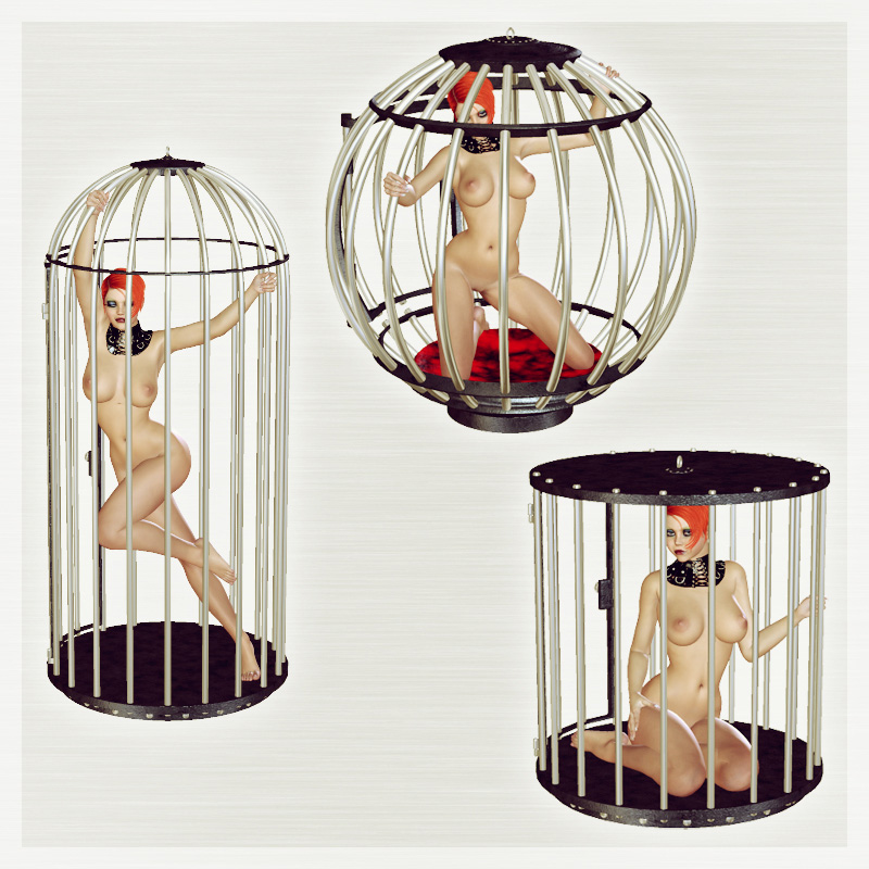 SynfulMindz' Naughty Bird Cages