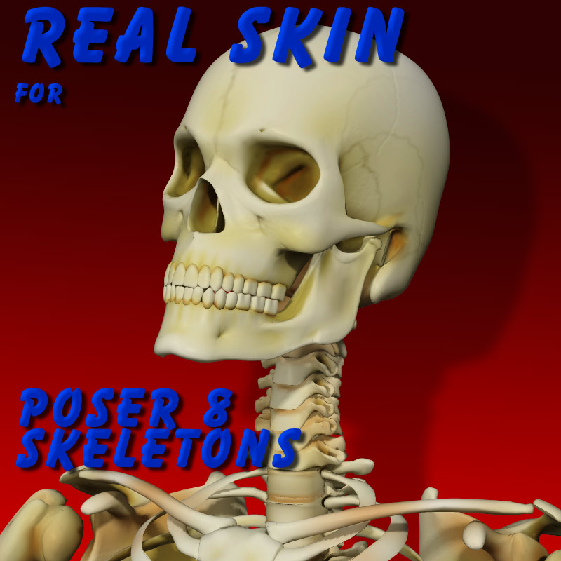 Darkseal's Real Skin for Poser 8 Skeleton