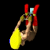 smanimation