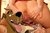 oldporndog