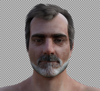 gnomeshole