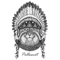 pallascat