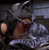 banditcameraman