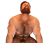 pinehilldog