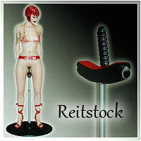 SynfulMindz' Reitstock