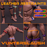 Leather Restraints