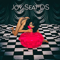 Joy Seat DS