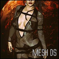 Mesh DS