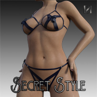 Secret Style 13