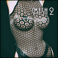 Mesh 2