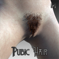 Pubic Hair for Genesis 8.1 Female