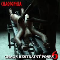 Chaos Restraint Poses 6