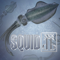 Squid