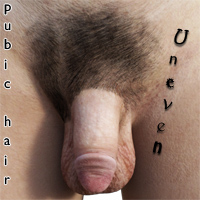 Male Pubic Hair: Uneven