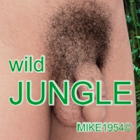 Wild JUNGLE