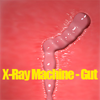 X-Ray Machine - Gut