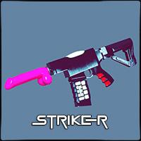 Striker DS