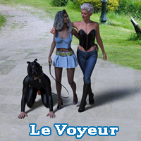 Le Voyeur (The Peeper) - Text in french / texte en français