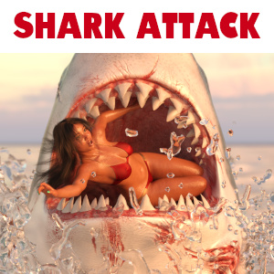 SHARK ATTACK! A Maria Gomez Special