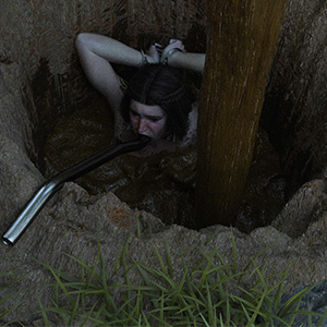 Buried in the Forest