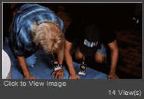 giphy.gif