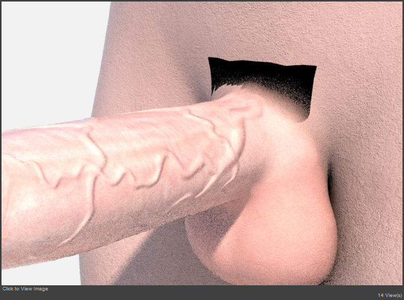 Torso 1.JPG