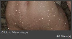 Ghost light sparkles.JPG