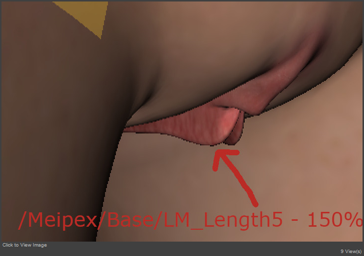 Base.jpg
