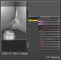 Anus preset.jpg