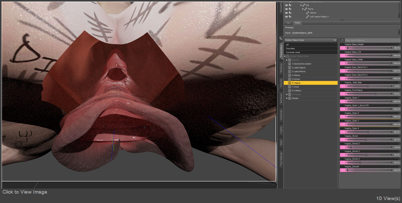 VAGINA_OPEN_TEXTURE_PROBLEMS2.JPG