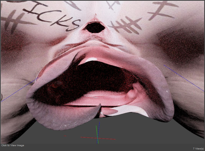 VAGINA_IRAY.JPG