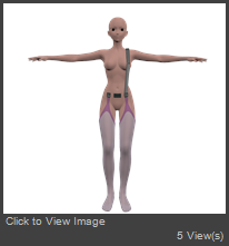 Shoulder garters.png