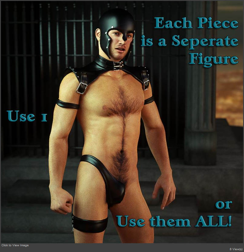 LeatherGladiatorUse1orAll.jpg