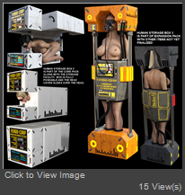 BOXPEEK.jpg