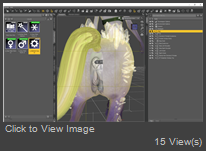 Zindagee missing Material Copy.png