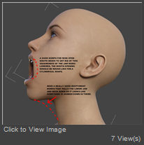 JAWS.jpg
