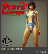 heavyleathermain8x8.jpg