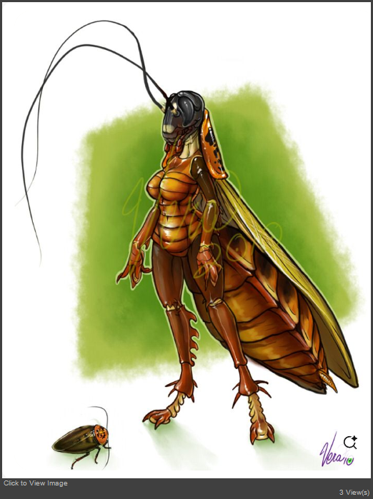 image (1).png