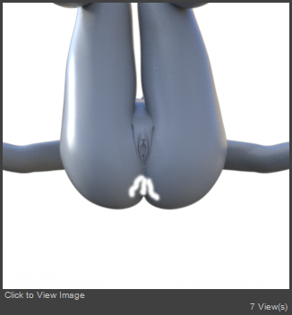On the Back.png