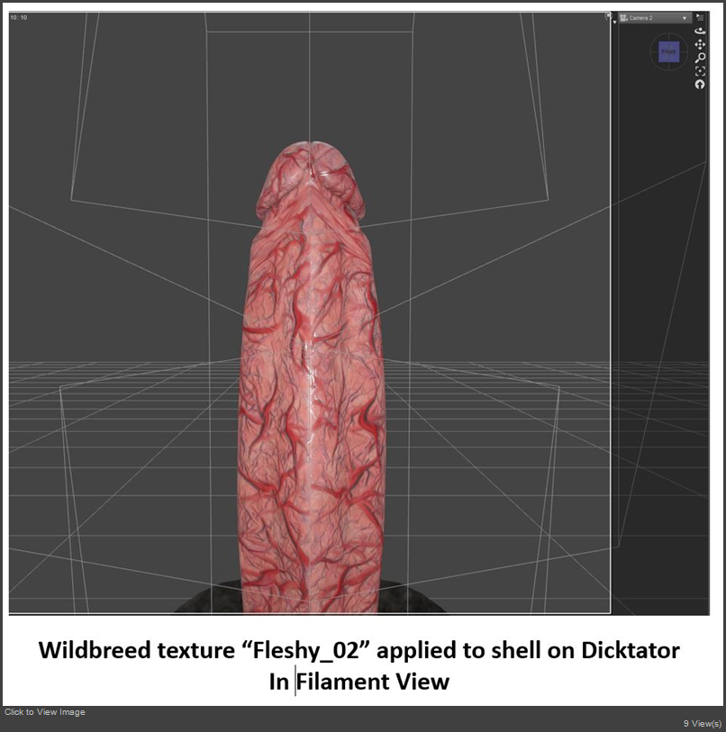 Capture1 text.JPG