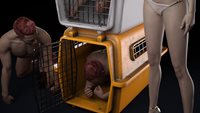 vs_dogcage_api2.jpg