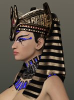 P7.jpg
