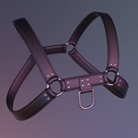 vs_leatherharness_api2.jpg