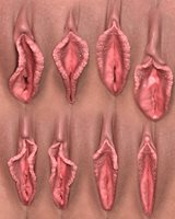06-CZ_Shapes05.jpg